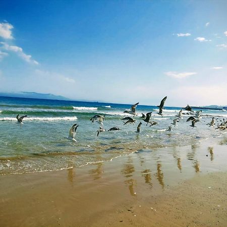 Blue Horizon-Ghougine Apartman Tanger Kültér fotó